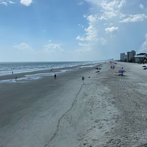 Meet your Posher, Alan